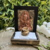 Jardim Zen Buda P