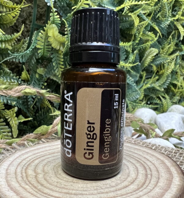 Óleo Essencial Ginger (Gengibre) DoTerra - 15 ml