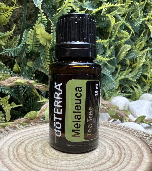 Óleo Essencial Melaleuca DoTerra - 15 ml